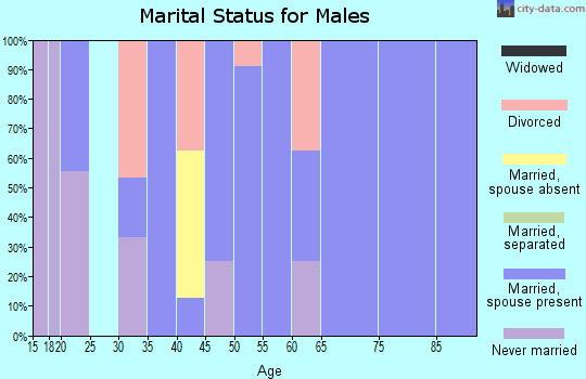 Zip code 56075 marital status for males