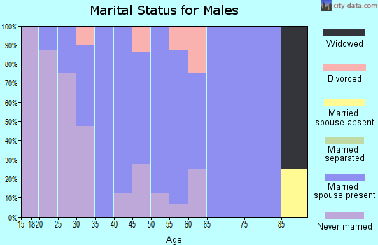 Zip code 56078 marital status for males