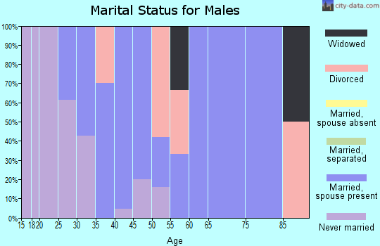 Zip code 56080 marital status for males