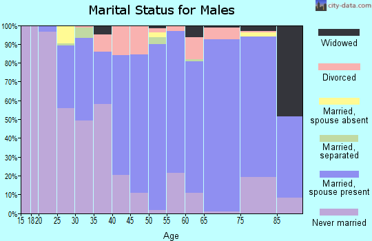 Zip code 56081 marital status for males