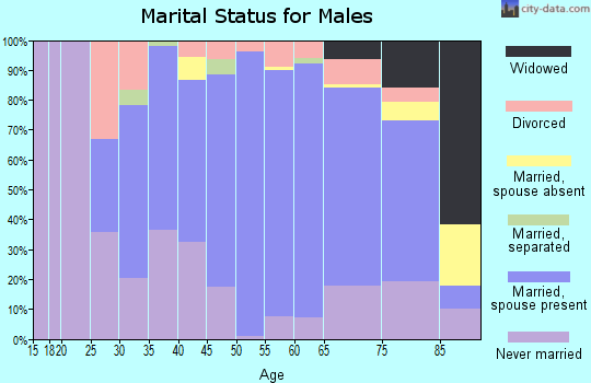 Zip code 56085 marital status for males