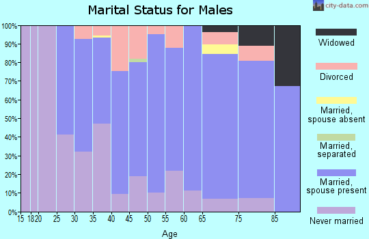 Zip code 56087 marital status for males