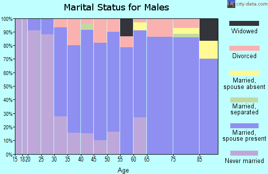 Zip code 56088 marital status for males