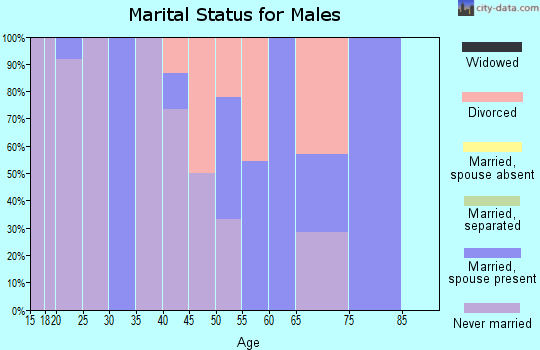 Zip code 56089 marital status for males