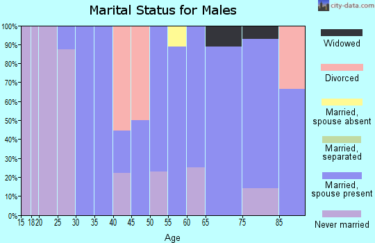 Zip code 56091 marital status for males