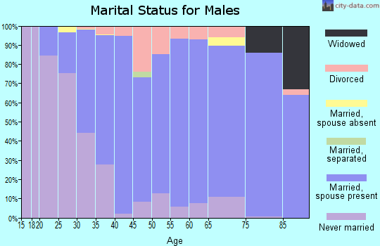 Zip code 56093 marital status for males