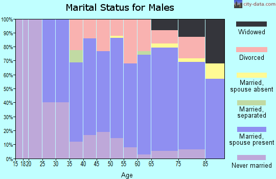 Zip code 56096 marital status for males