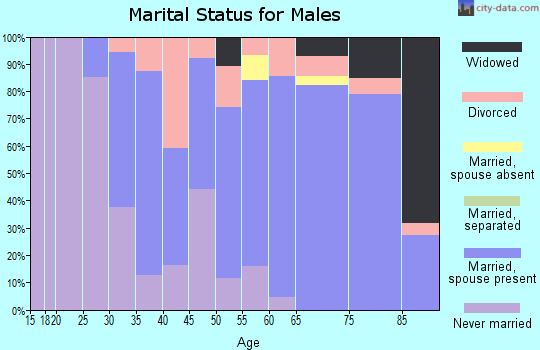 Zip code 56098 marital status for males