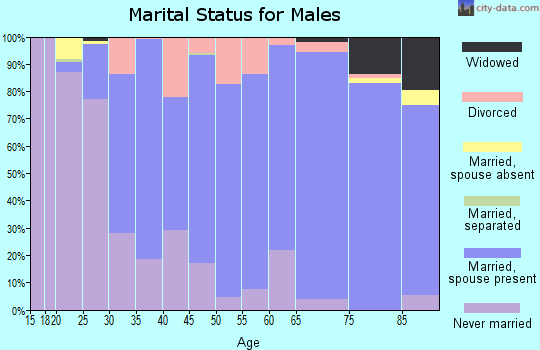 Zip code 56101 marital status for males