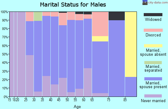 Zip code 56110 marital status for males
