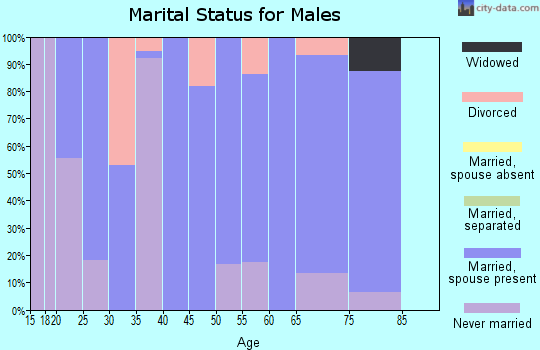 Zip code 56111 marital status for males