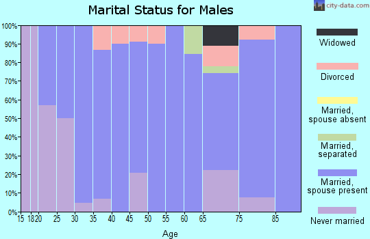 Zip code 56116 marital status for males