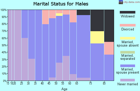 Zip code 56119 marital status for males