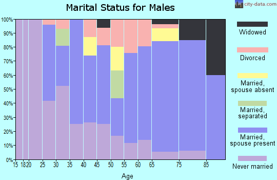 Zip code 56120 marital status for males