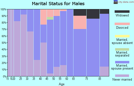 Zip code 56121 marital status for males