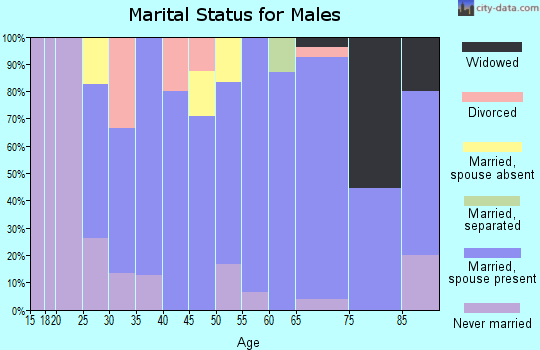 Zip code 56122 marital status for males