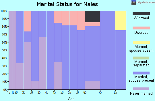 Zip code 56123 marital status for males