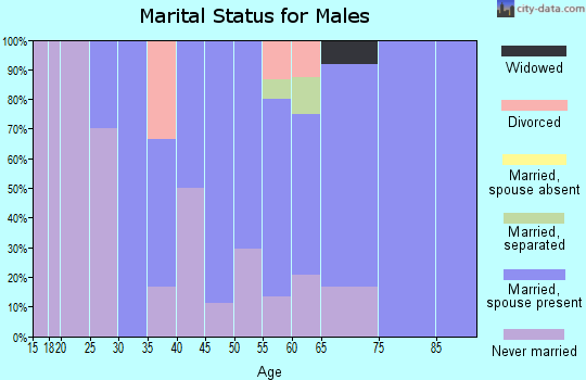 Zip code 56127 marital status for males