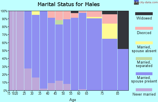Zip code 56128 marital status for males