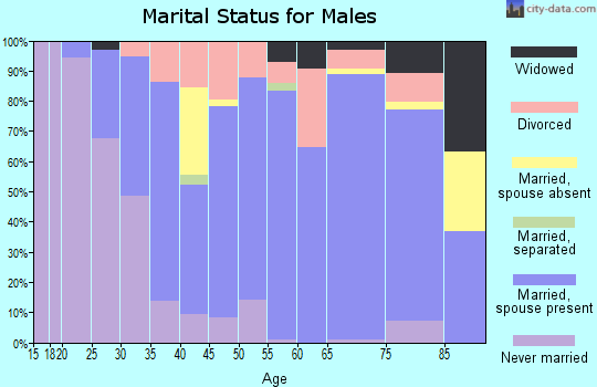 Zip code 56131 marital status for males
