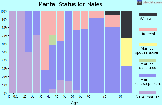 Zip code 56132 marital status for males