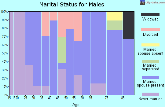 Zip code 56134 marital status for males