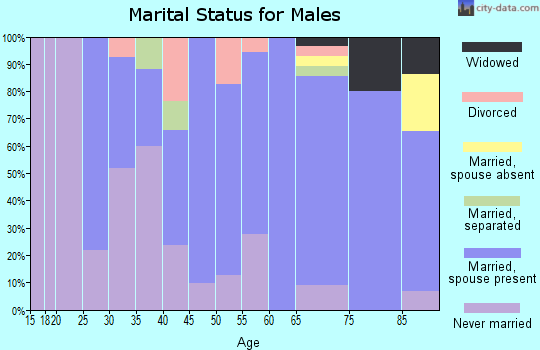 Zip code 56136 marital status for males
