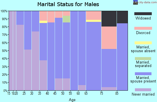 Zip code 56137 marital status for males
