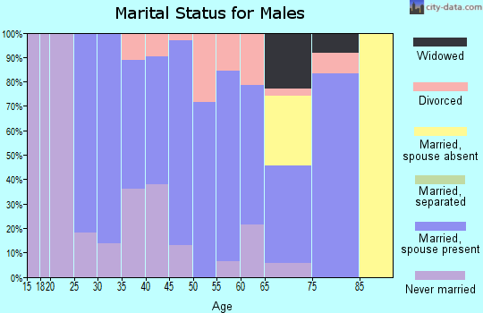 Zip code 56138 marital status for males