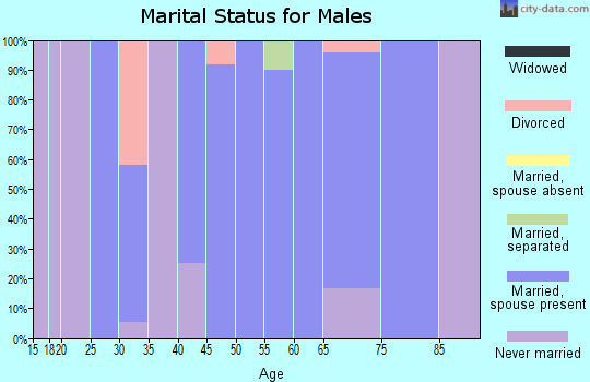 Zip code 56141 marital status for males