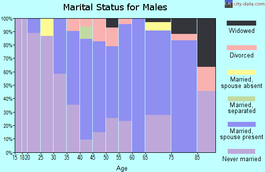 Zip code 56142 marital status for males