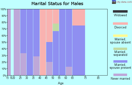 Zip code 56147 marital status for males