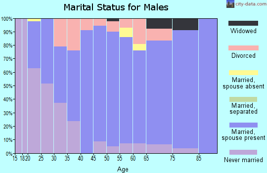 Zip code 56149 marital status for males
