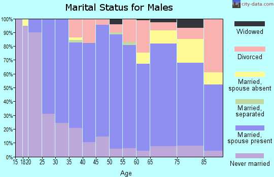 Zip code 56150 marital status for males