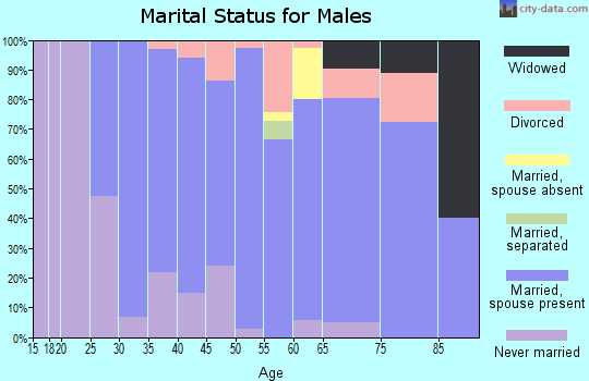Zip code 56151 marital status for males