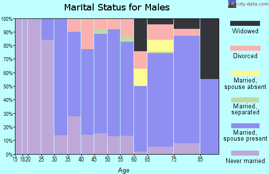 Zip code 56152 marital status for males