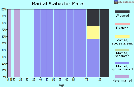 Zip code 56153 marital status for males