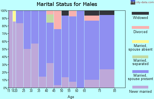 Zip code 56155 marital status for males