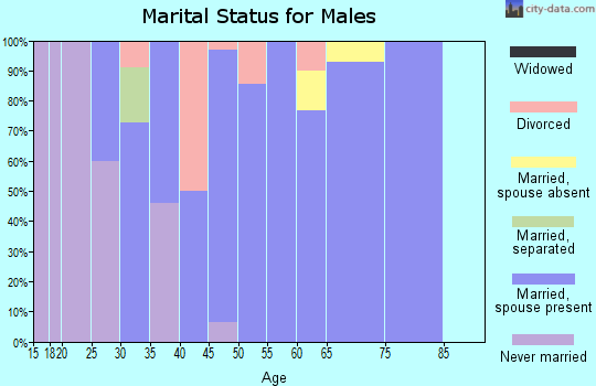 Zip code 56158 marital status for males