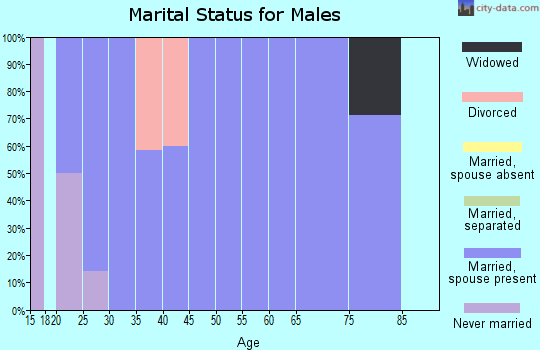 Zip code 56160 marital status for males