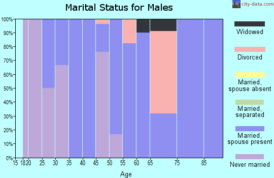 Zip code 56162 marital status for males