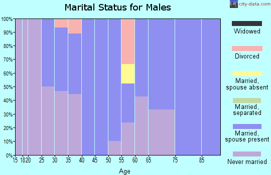 Zip code 56166 marital status for males