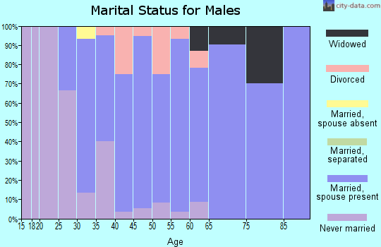 Zip code 56167 marital status for males