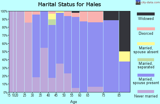 Zip code 56168 marital status for males