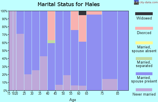 Zip code 56170 marital status for males