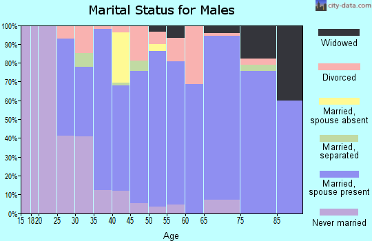 Zip code 56171 marital status for males