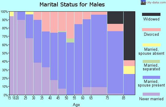 Zip code 56172 marital status for males