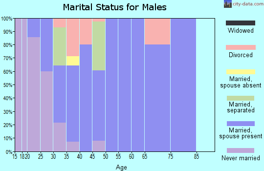 Zip code 56173 marital status for males