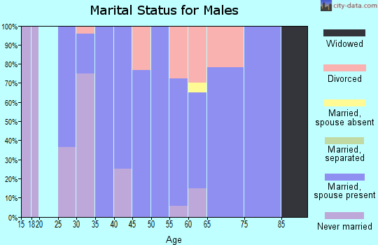 Zip code 56174 marital status for males