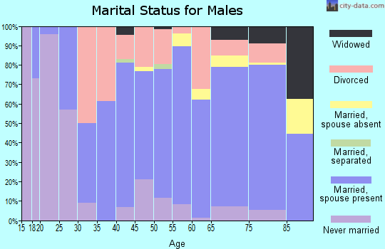 Zip code 56175 marital status for males